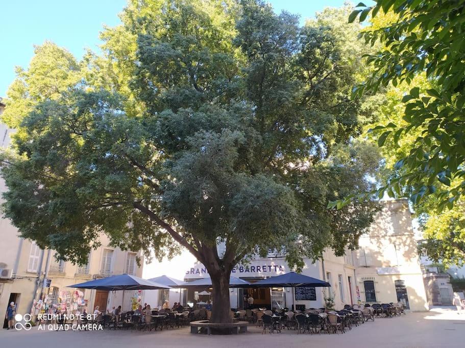 Bel Appartement Dans Centre Historique Avignon Ngoại thất bức ảnh